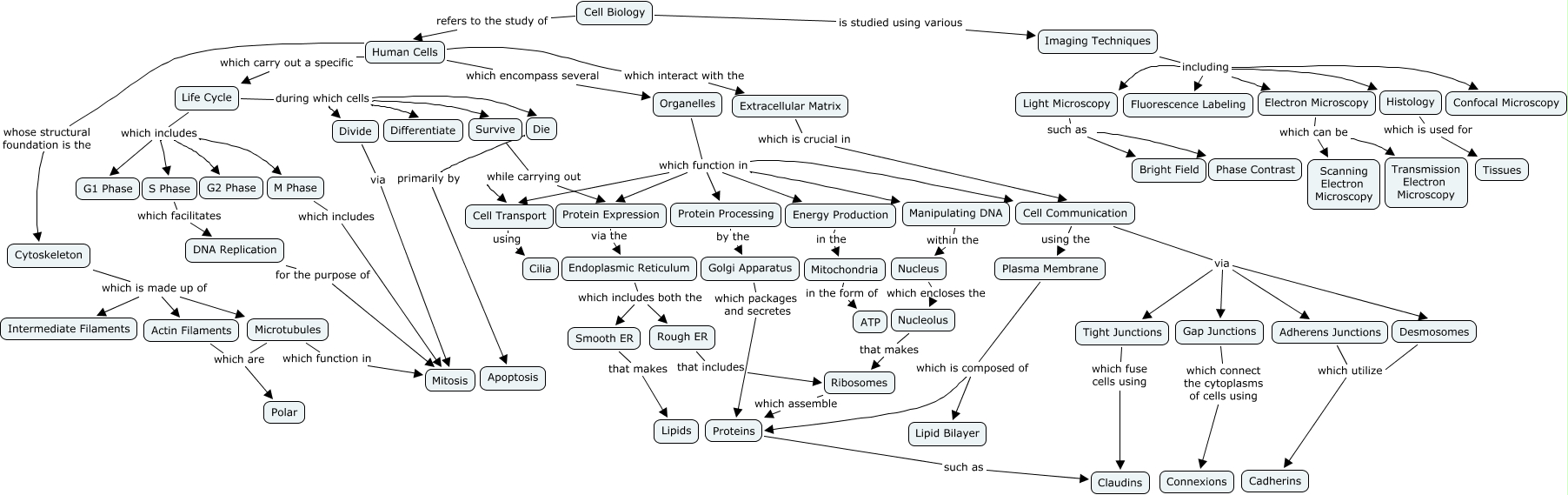Cell Biology Concept Map What are the key facets of cell biology?